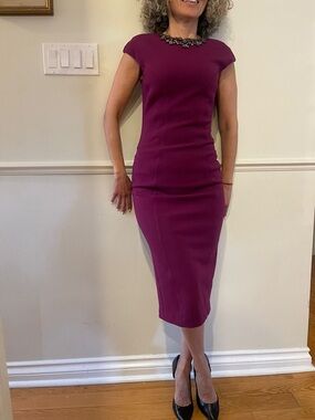 Ted Baker Midi Dress with Embellished Neckline